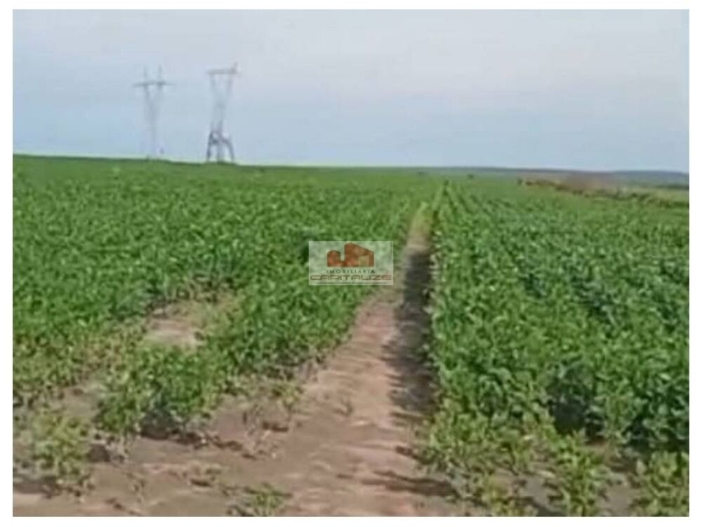 Fazenda, 2400 m² - Foto 1