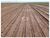 Fazenda-Sítio-Chácara, 2 hectares - Foto 1