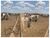 Fazenda, 3500 m² - Foto 3