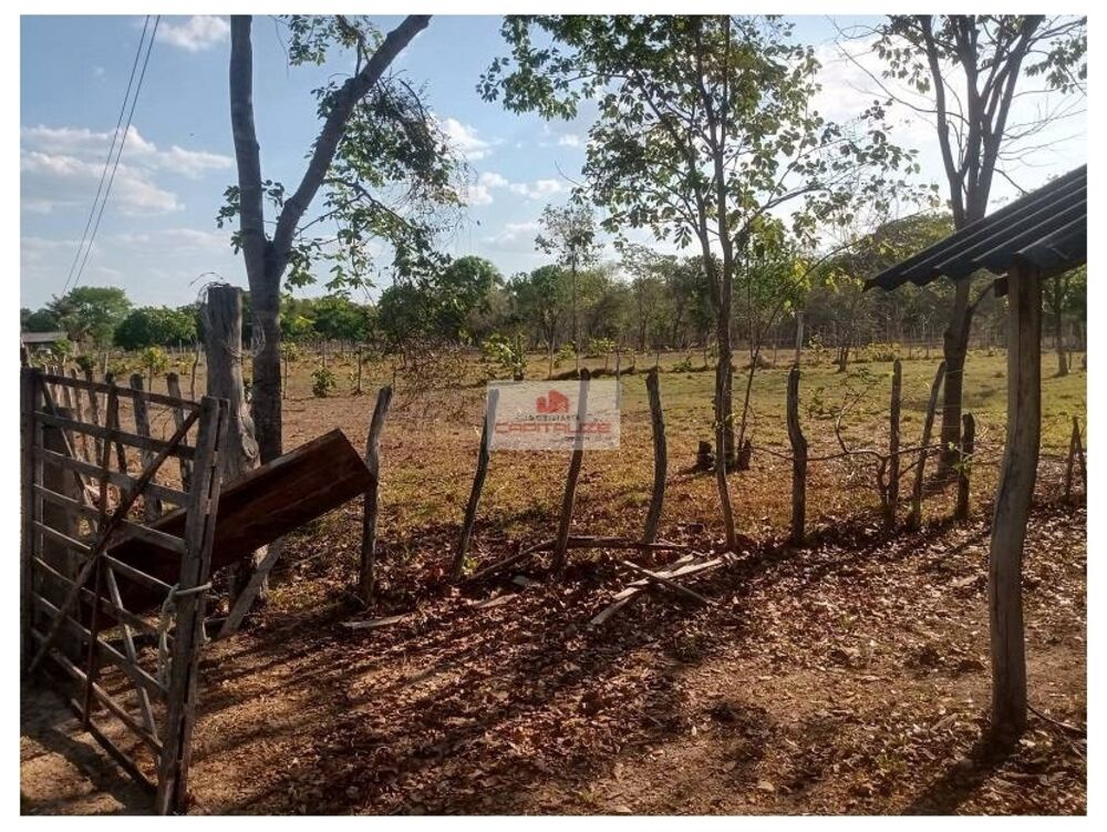 Fazenda, 1000 m² - Foto 12