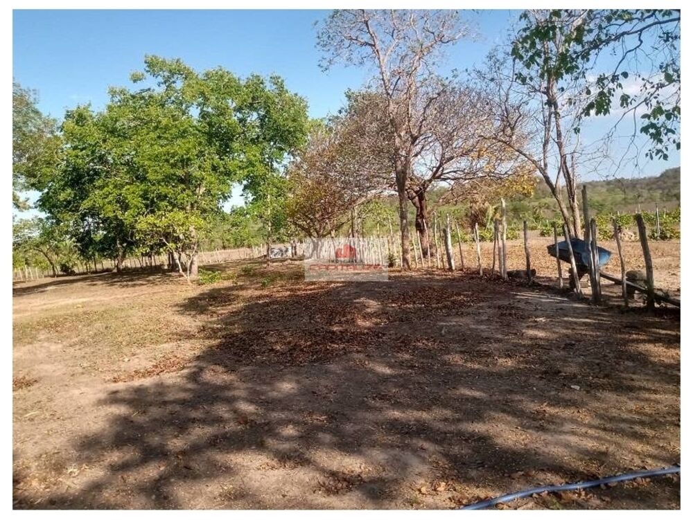 Fazenda, 1000 m² - Foto 8