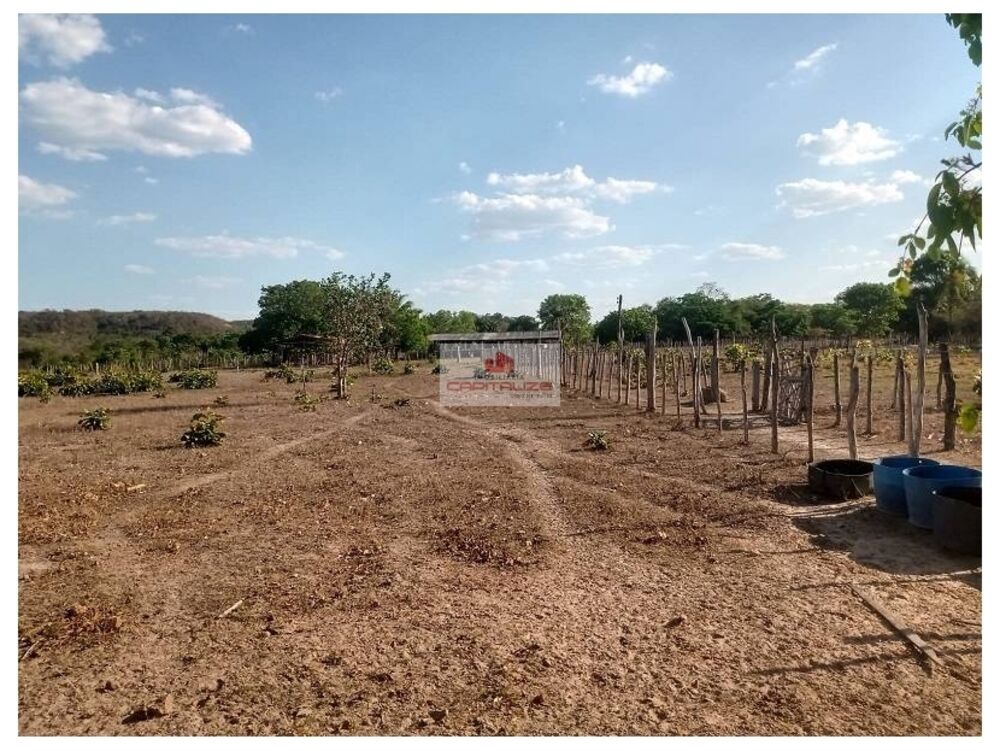 Fazenda, 1000 m² - Foto 3