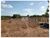 Fazenda-Sítio-Chácara, 1000 m² - Foto 3