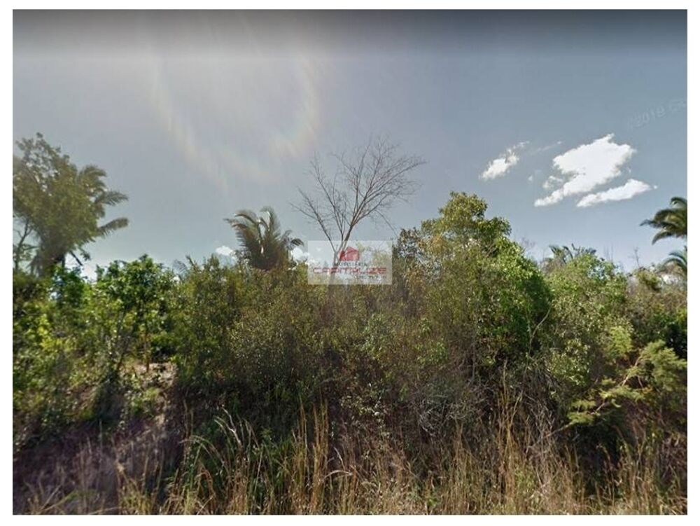 Fazenda à venda, 6600m² - Foto 4