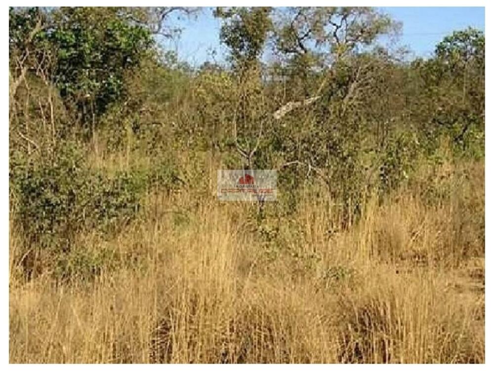 Fazenda à venda, 6600m² - Foto 2