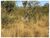 Fazenda, 6600 m² - Foto 2