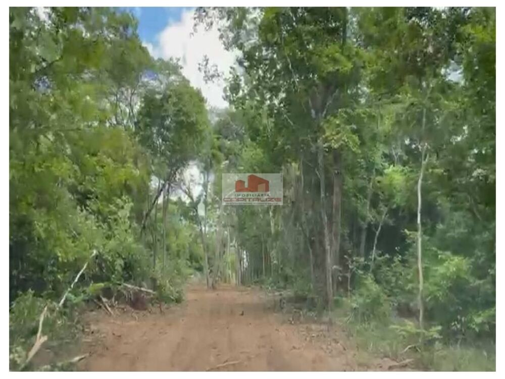 Fazenda-Sítio-Chácara, 10 m² - Foto 6