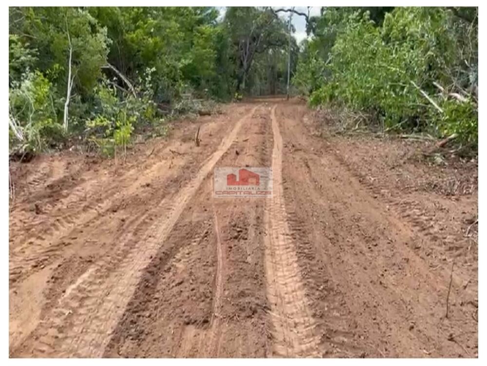 Fazenda-Sítio-Chácara, 10 m² - Foto 1