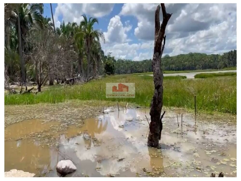 Fazenda-Sítio-Chácara, 10 m² - Foto 3