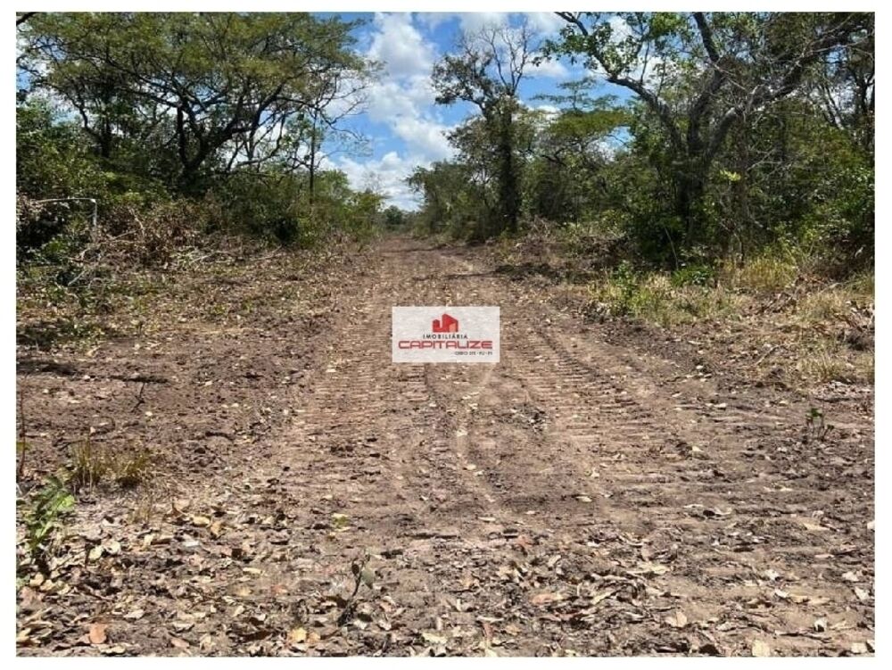 Fazenda, 6000 m² - Foto 1