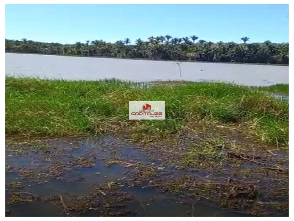 Fazenda, 6000 m² - Foto 2