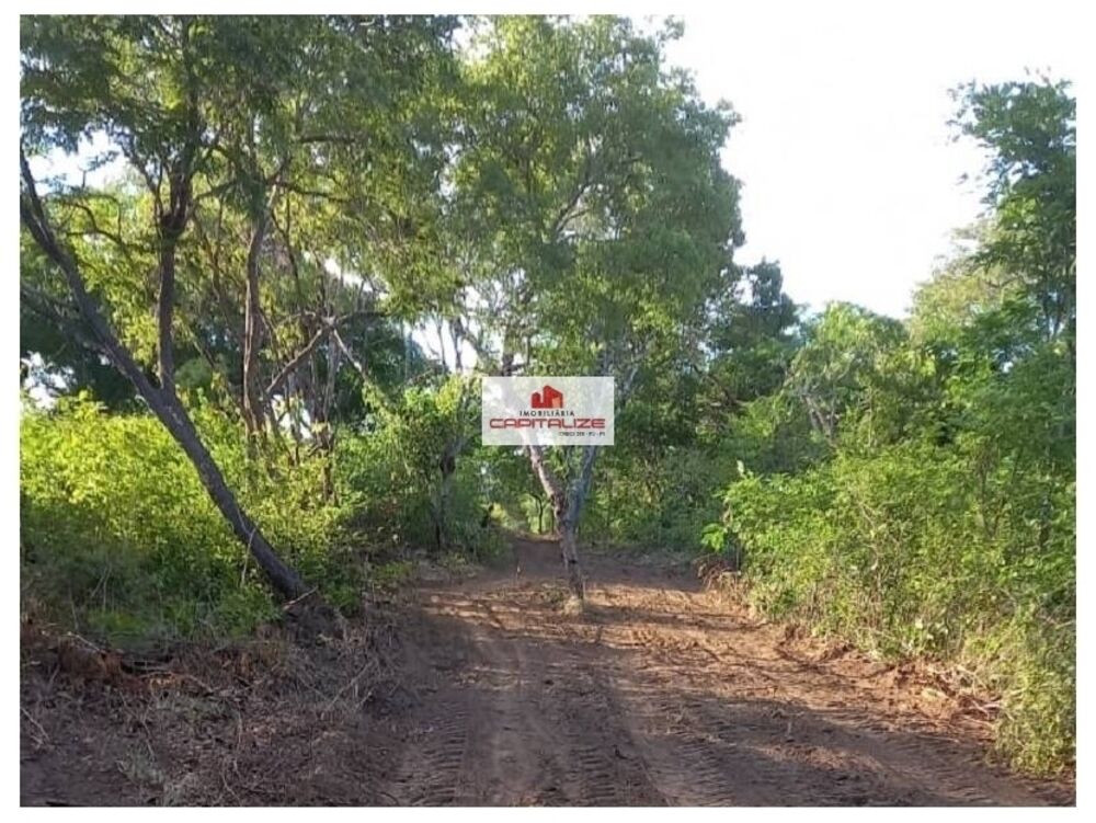 Fazenda, 6000 m² - Foto 3