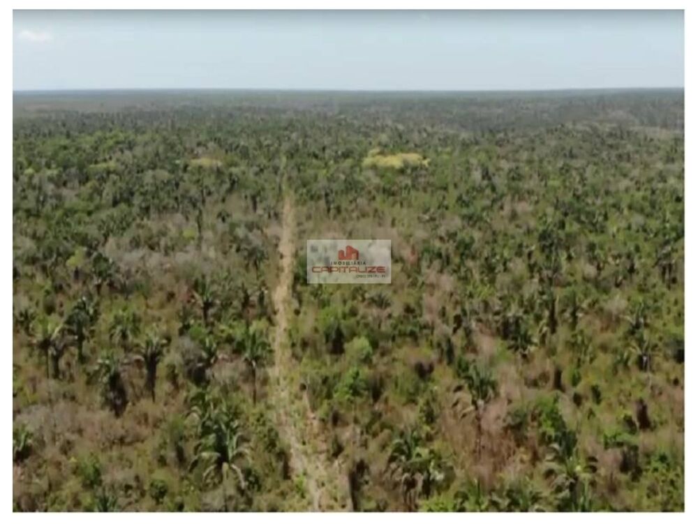 Fazenda-Sítio-Chácara, 1100 m² - Foto 2