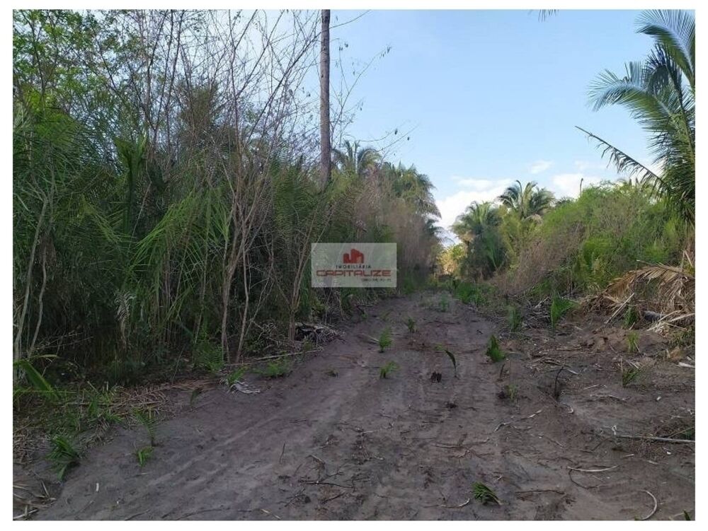 Fazenda-Sítio-Chácara, 1100 m² - Foto 1