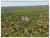 Fazenda, 1100 m² - Foto 3