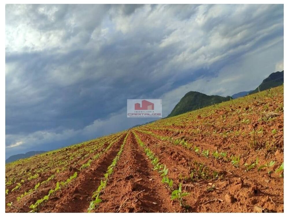 Fazenda, 3020 m² - Foto 1