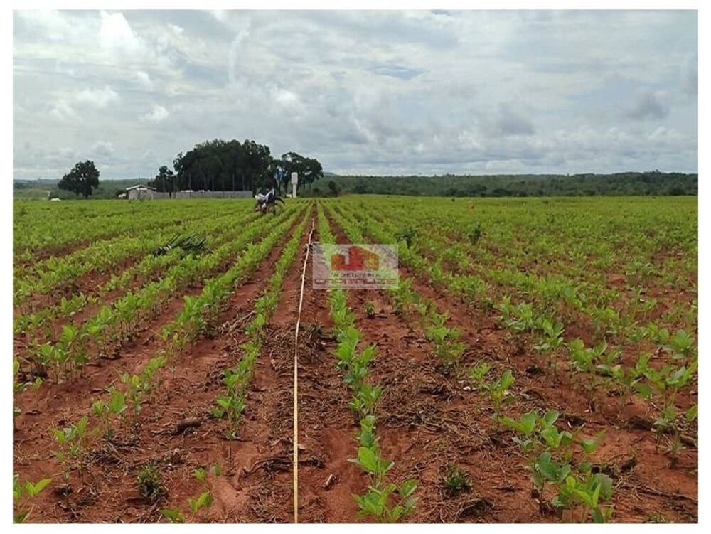 Fazenda, 3020 m² - Foto 2