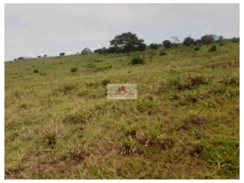 Fazenda à venda, 17350m² - Foto 2