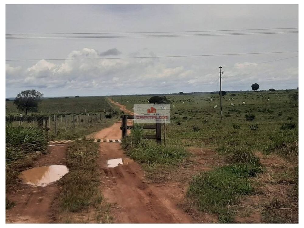 Fazenda à venda, 17350m² - Foto 4