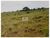 Fazenda, 2 hectares - Foto 2