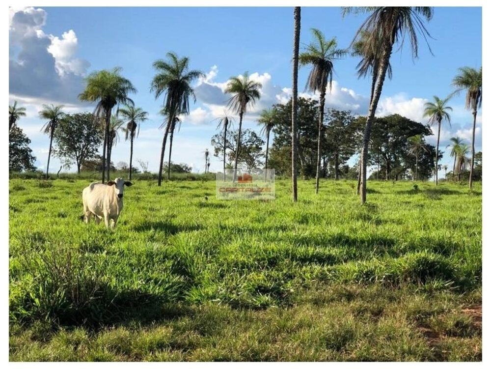 Fazenda à venda, 2574m² - Foto 3