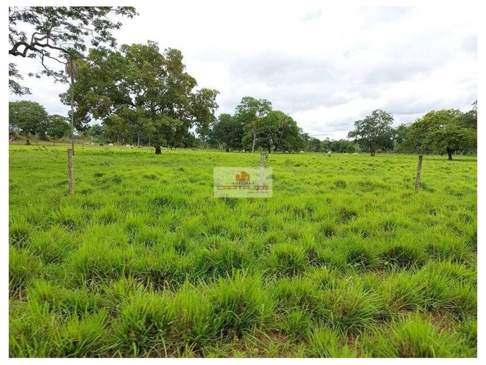 Fazenda à venda, 2574m² - Foto 4