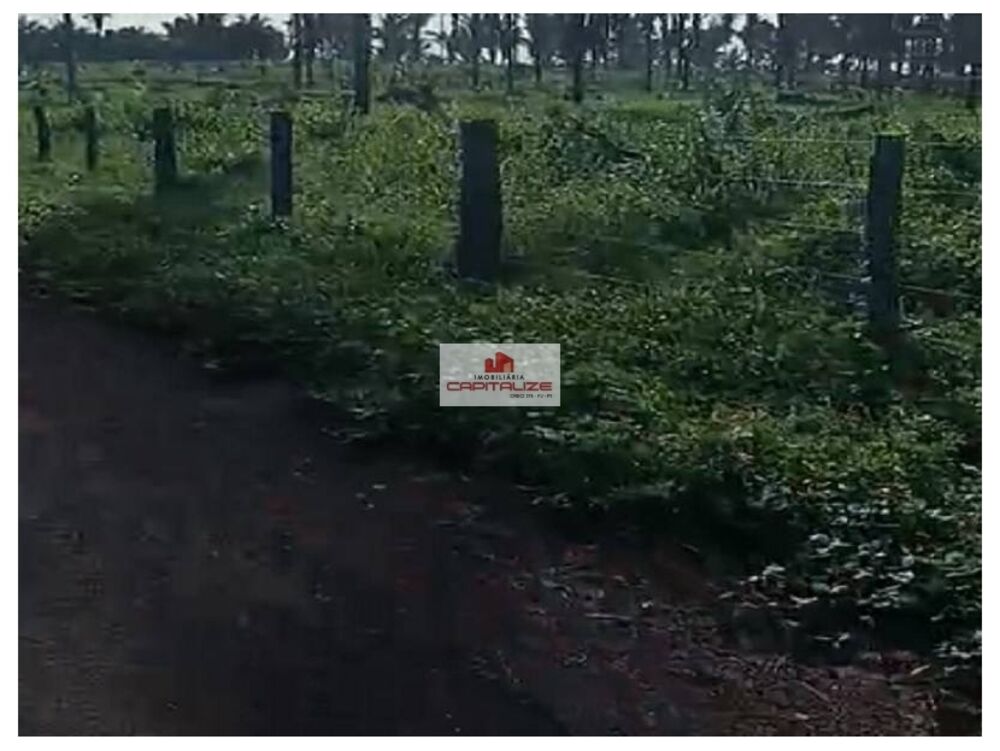 Fazenda à venda, 541m² - Foto 4
