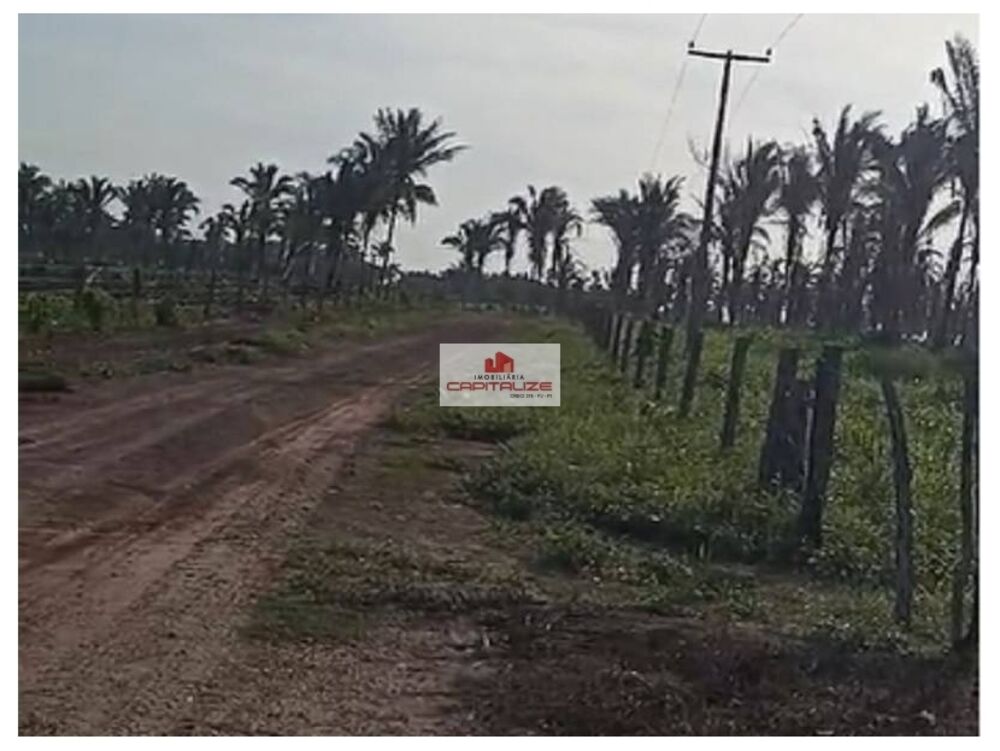 Fazenda à venda, 541m² - Foto 3
