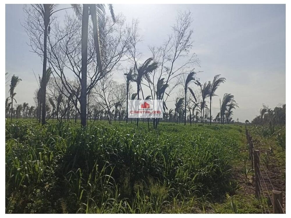 Fazenda à venda, 541m² - Foto 2