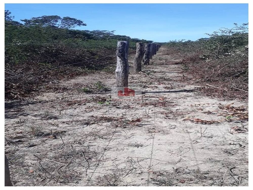 Fazenda à venda, 2090m² - Foto 3