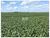 Fazenda-Sítio-Chácara, 6600 m² - Foto 1