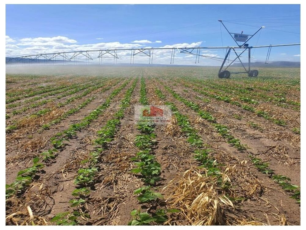 Fazenda à venda, 5000m² - Foto 2