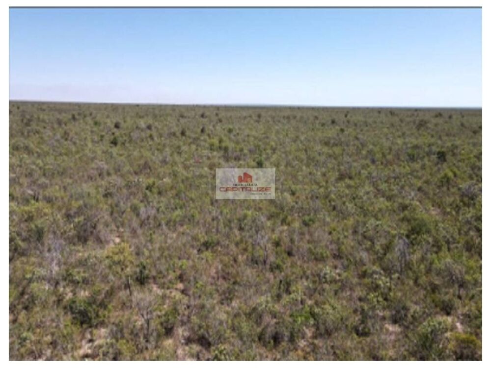 Fazenda à venda, 6300m² - Foto 4