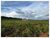 Fazenda, 2 hectares - Foto 2