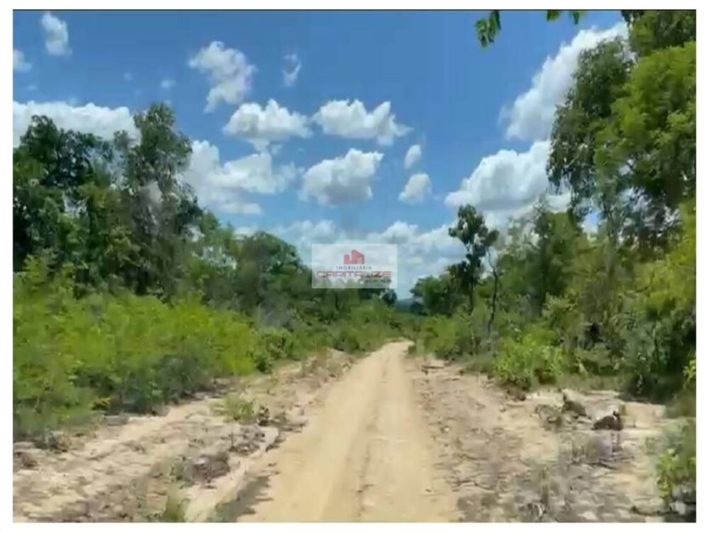 Fazenda à venda, 10000m² - Foto 1