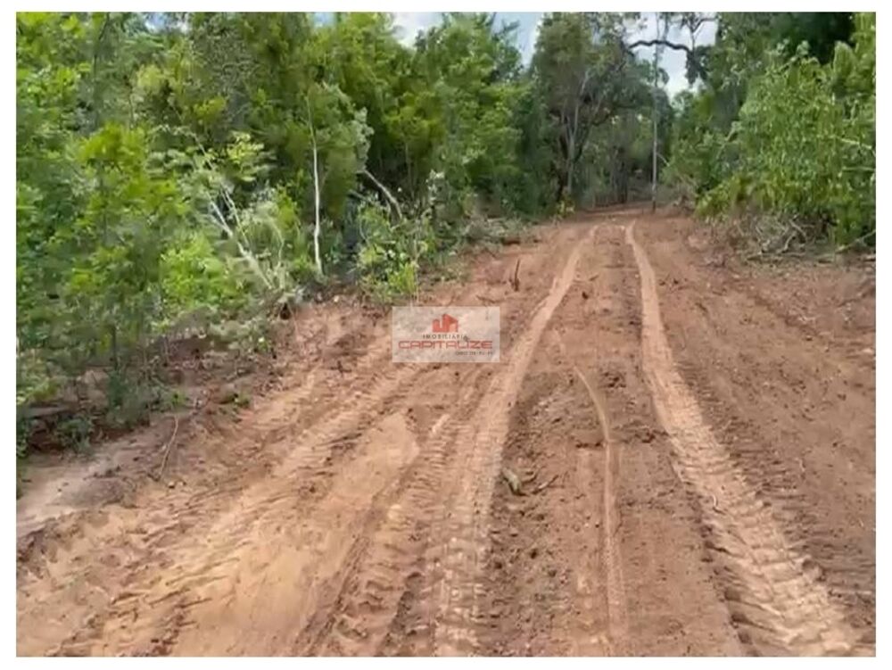 Fazenda à venda, 10000m² - Foto 4