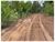 Fazenda, 10000 m² - Foto 4