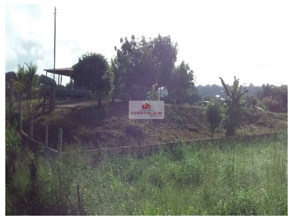 Casa à venda com 3 quartos, 6600m² - Foto 4