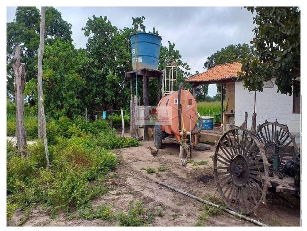 Fazenda à venda, 2400m² - Foto 3