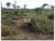 Fazenda, 2400 m² - Foto 10