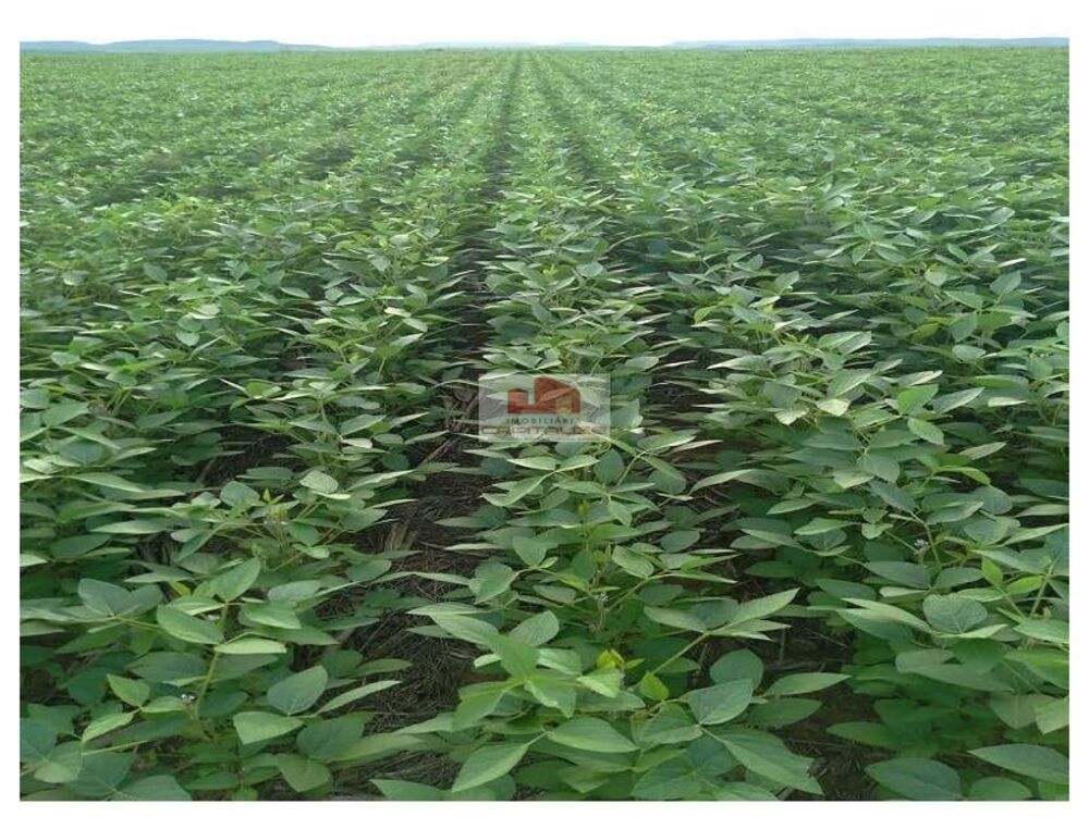 Fazenda à venda, 7500m² - Foto 6