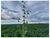 Fazenda-Sítio-Chácara, 7500 m² - Foto 1
