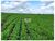 Fazenda, 4 hectares - Foto 1