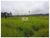 Fazenda, 4 hectares - Foto 4