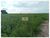 Fazenda-Sítio-Chácara, 4 hectares - Foto 8