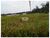 Fazenda, 4 hectares - Foto 3