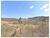 Fazenda, 1000 m² - Foto 2