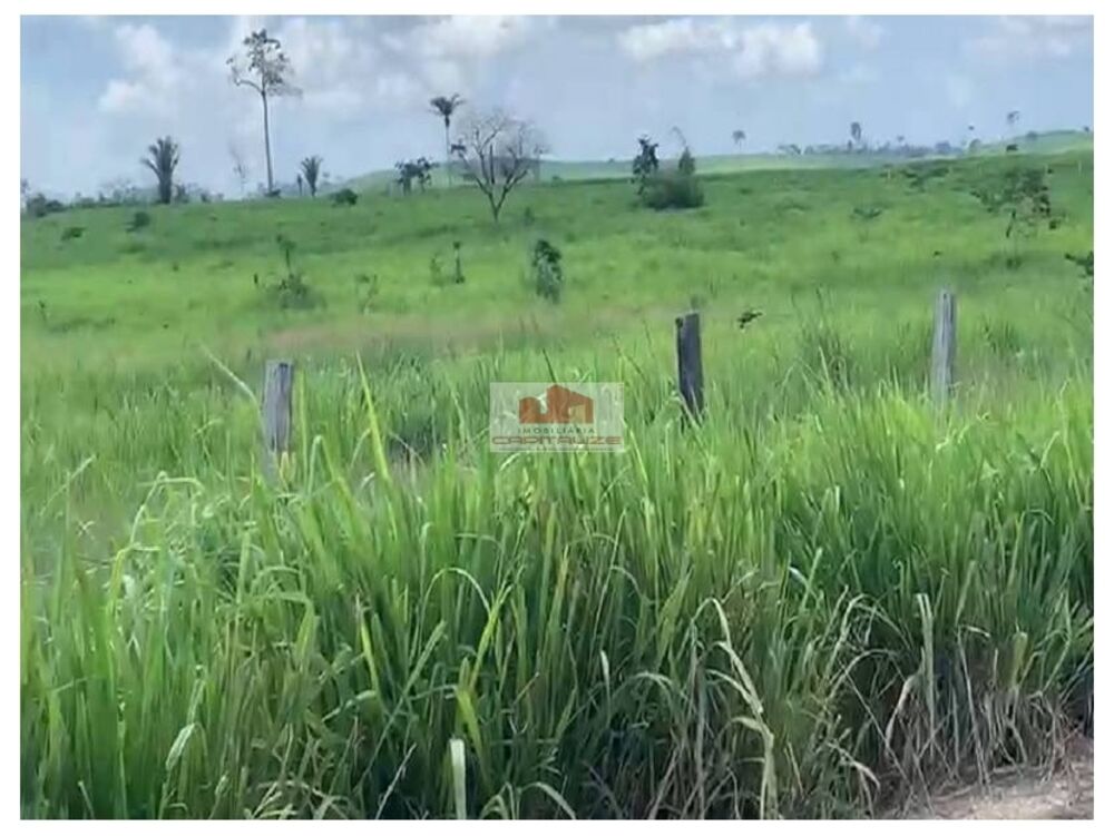 Fazenda à venda, 8130m² - Foto 8