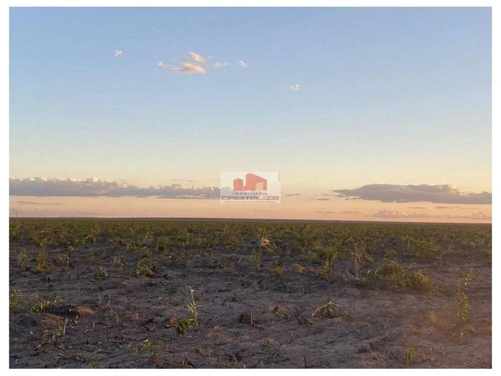 Fazenda à venda, 14000m² - Foto 4