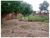 Depósito-Galpão, 600 m² - Foto 2